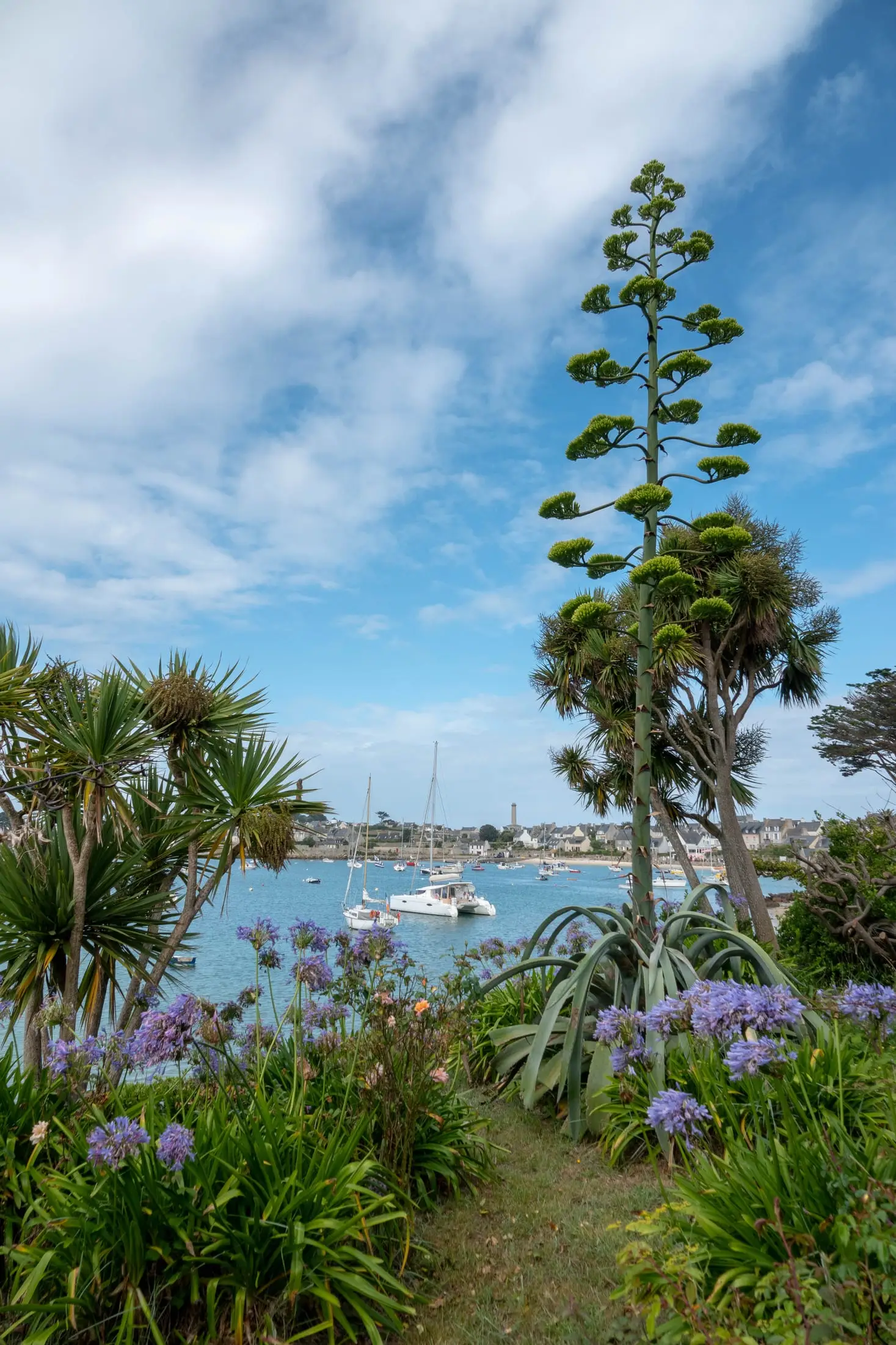 vue depuis l'Ile