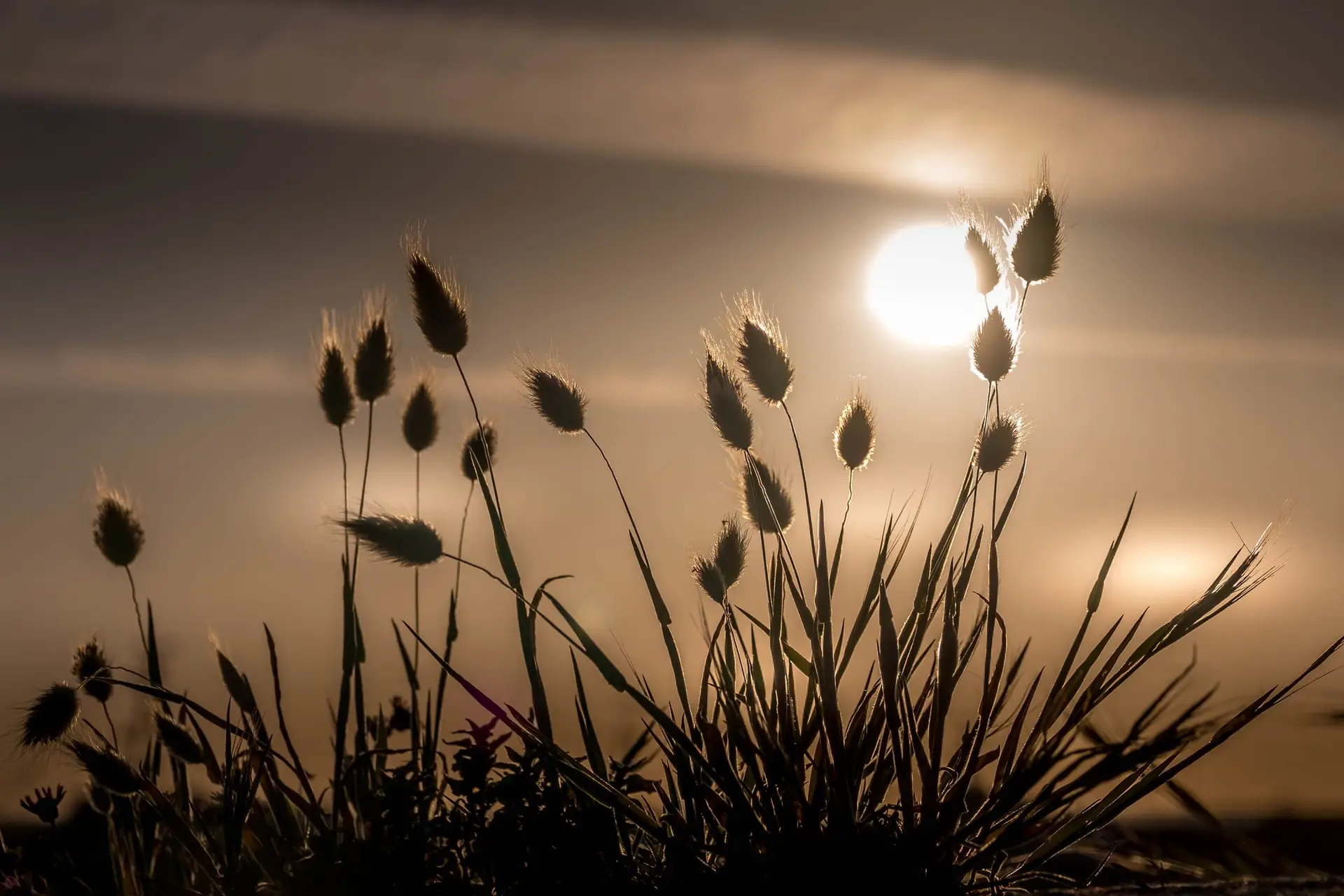 le coucher sur la dune