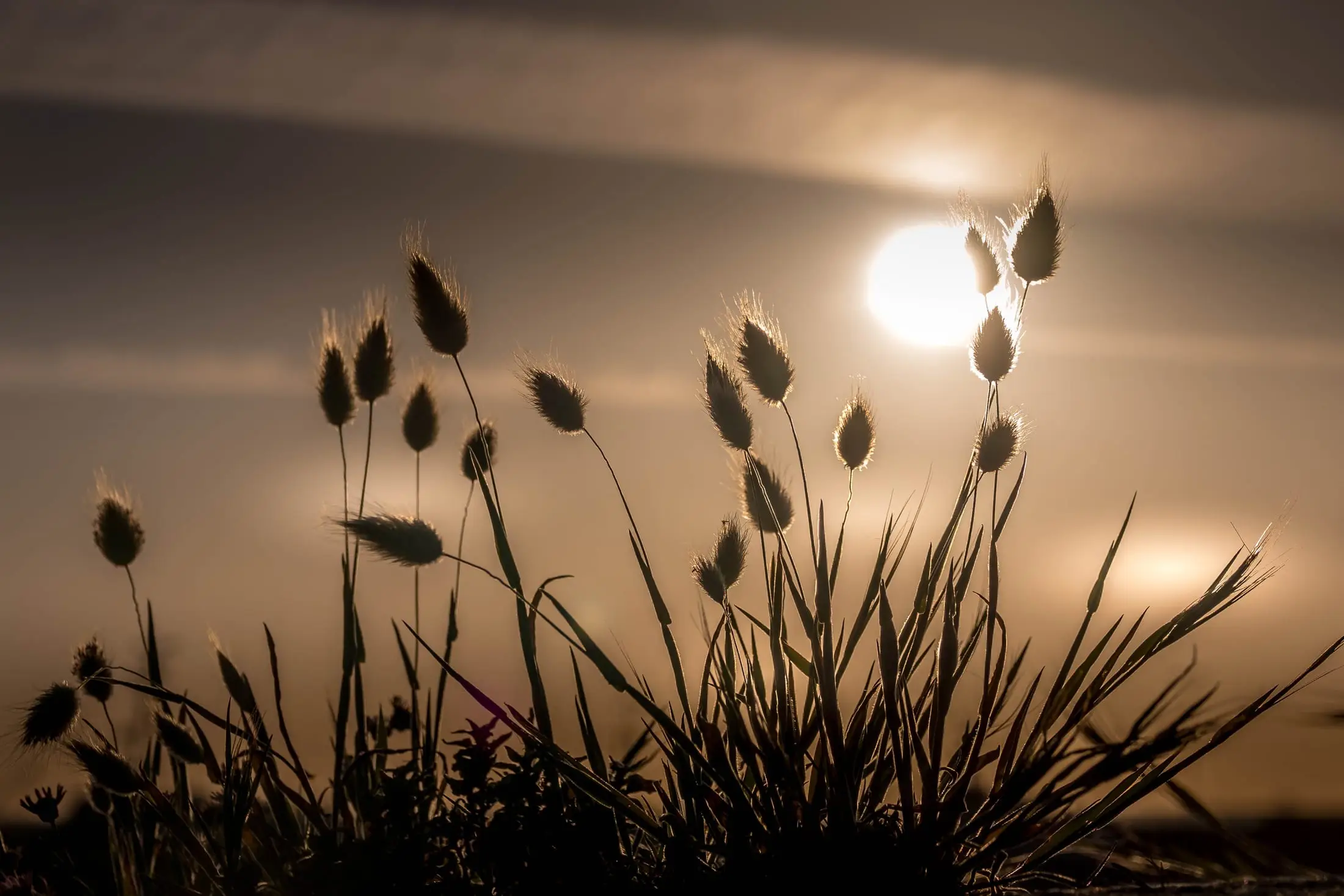 le coucher sur la dune